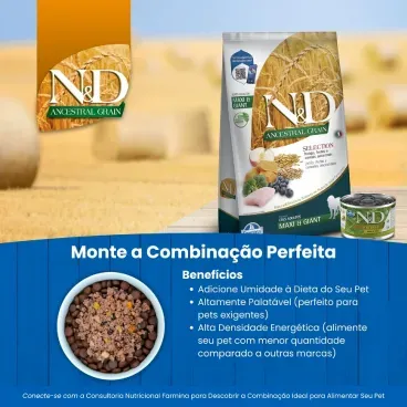 ND ANCESTRAL SELECTION AD MAX_GIG beneficios